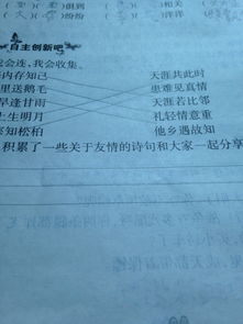 友誼詩(shī)句開(kāi)頭作文