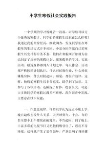 小學生寒假實踐報告()