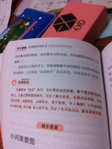 家鄉(xiāng)的冬天的作文開頭