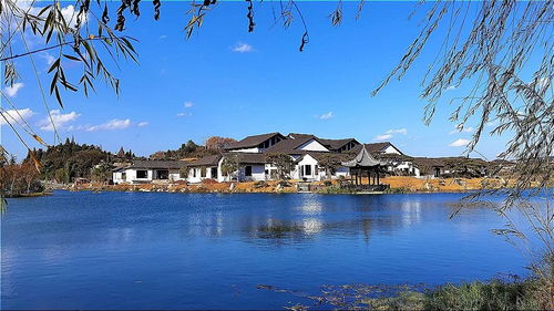 關(guān)于綠水青山的作文開頭