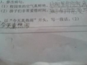 熱鬧作文的開(kāi)頭段