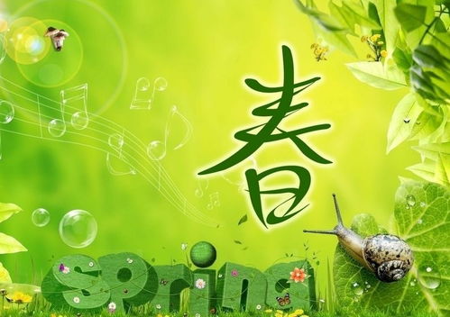 春天的作文的精彩開頭