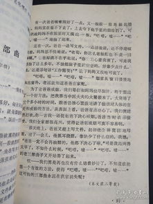 城市改造小學(xué)作文(城市改造建設(shè)口號(hào))