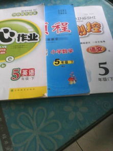 我的哥哥作文好開(kāi)頭