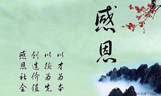 感恩的心作文三級六級開頭