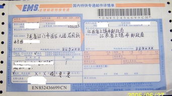 如今才知道的作文開(kāi)頭