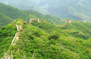 關(guān)(想過就業(yè)關(guān)，先過用“字”關(guān))