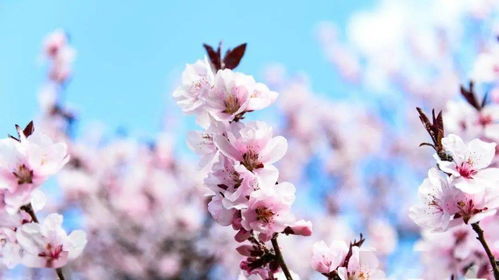 生活中的那一個瞬間作文開頭