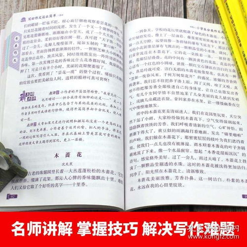 小學(xué)三級通用的作文開頭