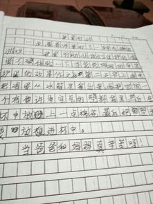 活動作文開頭50字