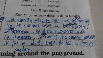 描寫天氣好的英文小作文開頭