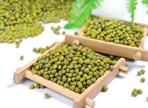 綠豆長葉了作文開頭