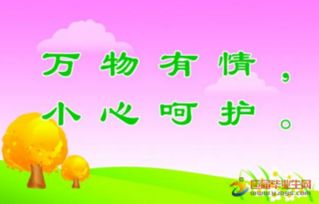 愛護林木標(biāo)語(林木管護宣傳標(biāo)語)