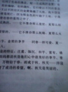 秋天風景的描寫的作文600字作文開頭