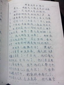 美麗的大自然六級作文開頭