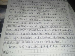 關(guān)于植物寫一個(gè)作文開頭結(jié)尾