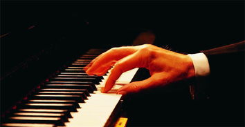 最美的相遇作文鋼琴開(kāi)頭