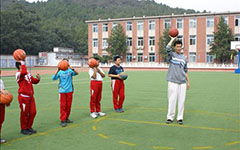 動(dòng)物籃球賽作文開頭