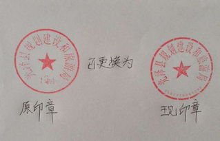 更換公章申請報告(單位更換公章介紹信)