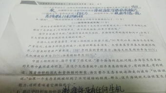 引用式開頭的作文的開頭加賞析