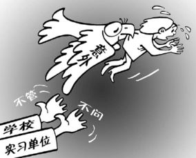 關(guān)于實習(xí)生的勞動保障(關(guān)于實習(xí)生的實習(xí)鑒定)