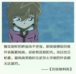 柯南經(jīng)典語錄開場白,柯南名句經(jīng)典語錄,江戶川柯南經(jīng)典語錄