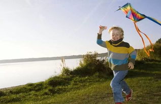 三級放風箏作文開頭