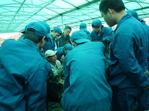 ?？齐姎夂笇嵙?xí)報告(?？茖嵙?xí)報告)