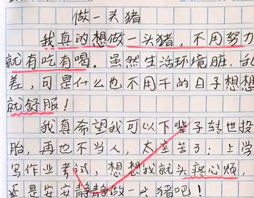 我的白日夢作文開頭