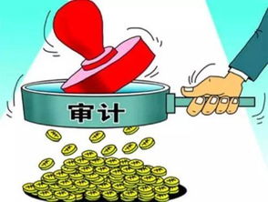 內(nèi)部控制審計與內(nèi)部控制評價的聯(lián)系和區(qū)別(內(nèi)部控制審計與內(nèi)部控制評價的聯(lián)系和區(qū)別)