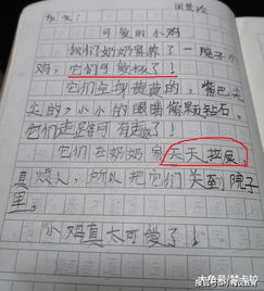 那個可愛的她作文開頭,可愛的小狗作文開頭,可愛的小白兔作文開頭