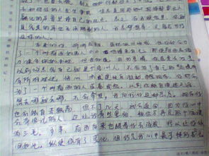 初中寫人感情感動(dòng)的作文開頭