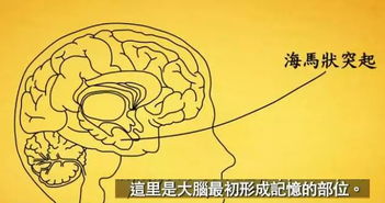 在乎作文好開(kāi)頭