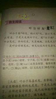 葉公好龍作文開(kāi)頭