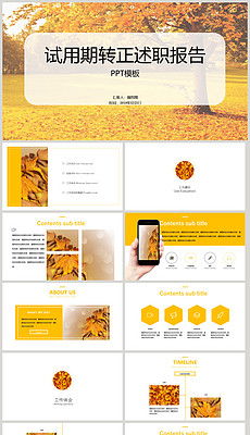 護(hù)士試用期轉(zhuǎn)正述職報(bào)告(護(hù)士試用期轉(zhuǎn)正述職報(bào)告)