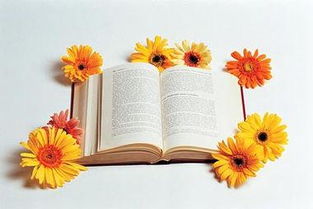 中考作文設置懸念開頭