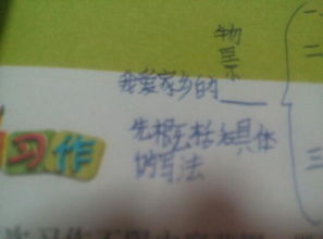 家鄉(xiāng)的題材的作文開頭