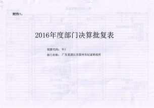 關(guān)于決算報告批復(fù)(關(guān)于批復(fù)的例文)