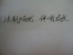 寫一段關于陽光的作文開頭結尾