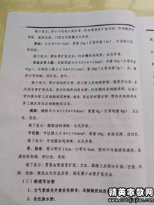 實(shí)踐檢驗(yàn)報(bào)告(如何看檢驗(yàn)報(bào)告單)