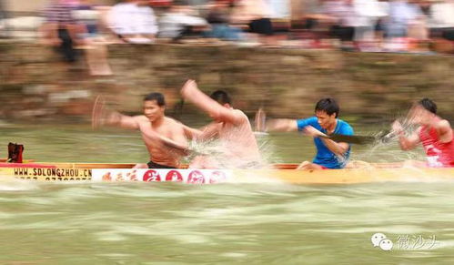 家鄉(xiāng)的龍舟賽作文的開(kāi)頭