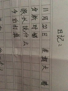 關(guān)于反省作文的開頭