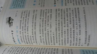 發(fā)現(xiàn)生活中的道理五級作文開頭