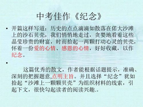 對(duì)活動(dòng)開(kāi)頭的描寫(xiě)的作文