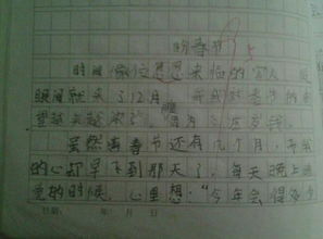 壓歲錢的來歷作文優(yōu)一個乃開頭