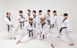 我的跆拳道教練(我的跆拳道教練作文)