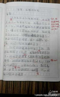 關(guān)于給父親做飯的作文600字作文開(kāi)頭