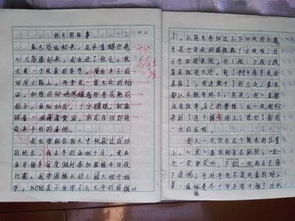 我和爸爸作文開頭如何寫