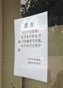 有關(guān)嘗試的作文開(kāi)頭高中