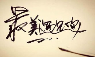 最美麗的相遇記敘作文600字作文開頭